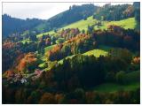 IMG_1472 IMG_1472