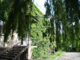 Akhaltsikhe