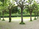 Im Schlosspark
