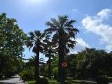  Villa Comunale - Parco Karol Wojtyła