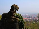 Wachtier am Altenburg Wachtier am Altenburg