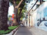 Con đường siêu nhỏ ở Sài Gòn Con đường siêu nhỏ ở Sài Gòn