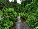 Die Kirnitzsch im gleichnamigen Tal Die Kirnitzsch im gleichnamigen Tal