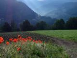 WONDERFUL WORLD MORNING IN ANDORA ANDORA WONDERFUL WORLD MORNING IN ANDORA ANDORA