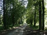 Аллея парка усадьбы Бахтимерево-Милославское