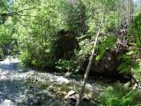 Sidestream Sidestream