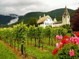 Die Kirche St.Maurice in Aigle