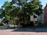 Hof (Bayern) - Die Lokalzeitung "Hofer Anzeiger" am Oberer Torplatz Hof (Bayern) - Die Lokalzeitung "Hofer Anzeiger" am Oberer Torplatz