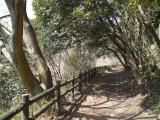 烏原ダム沿道 烏原ダム沿道
