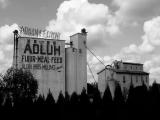 Adluh Flour