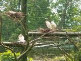 ZOO Hluboká nad Vltavou