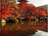 清水寺 清水寺