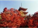 清水寺 清水寺