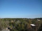 Tallahassee Tree Tops Tallahassee Tree Tops