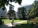 Pestalozzi- Wiese an der Bahnhofstrasse Pestalozzi- Wiese an der Bahnhofstrasse