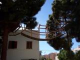 Casa Arbol Ciudad Jardin Casa Arbol Ciudad Jardin
