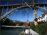IMG_7106 IMG_7106