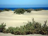 sand,sand,sand sand,sand,sand
