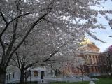 State House, Boston Common, April 2005