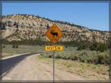 Highway 12, Grand Staircase Escalante N.M.