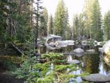 Pond at trailhead to May Lake Pond at trailhead to May Lake