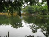 Ao cá bác Hồ - The Aquarium of Uncle Ho Ao cá bác Hồ - The Aquarium of Uncle Ho