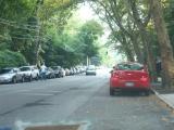 Bronx River Rd Bronx River Rd