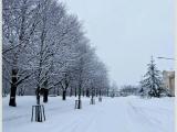 Lappenranta - winter Lappenranta - winter