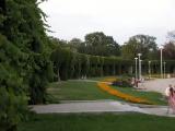 Wrocław - Pergola - by Robi