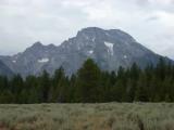 Mt. Moran