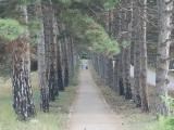 Диорама Диорама