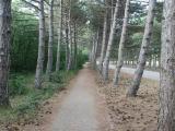 Диорама Диорама