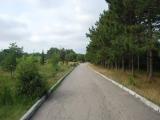Диорама Диорама