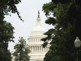 Capitol, Washington, D.C.