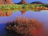 Desert Pond-Monument Valley, Ut