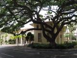 Hale Auhau
