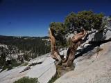 Yosemite Yosemite