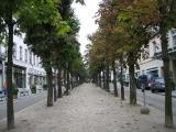 Allee in der Sophienstraße / Avenue in Sophienstrasse