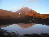 ☆Reflection☆