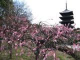 The Five Storied Pagoda at To-ji The Five Storied Pagoda at To-ji