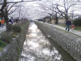 Philosopher's Path