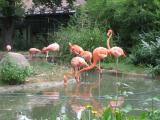 schonbrunn zoo schonbrunn zoo