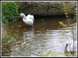 Troja Zoo Park Troja Zoo Park