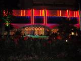Cocoon, Flower Street, Sunny Beach, Bulgaria. Cocoon, Flower Street, Sunny Beach, Bulgaria.