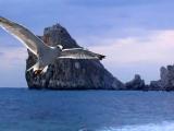 the 'Diva' rock, Crimea, Ukraine the 'Diva' rock, Crimea, Ukraine