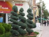 Kazanluk cantrum