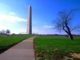 Washington DC - The Washington monument. Washington DC - The Washington monument.