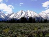 Grand Teton National Park