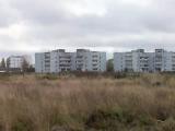 пос. совхоза Архангельский пос. совхоза Архангельский