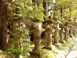 Kasuga walk Kasuga walk